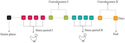 Effect of Wu Zhi San supplementation in LPS-induced intestinal inflammation and barrier damage in broilers